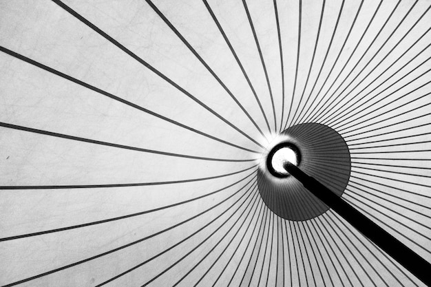 Photo low angle view of ceiling