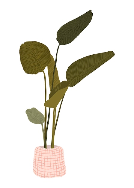 Photo plant png bird of paradise sticker nature illustration design