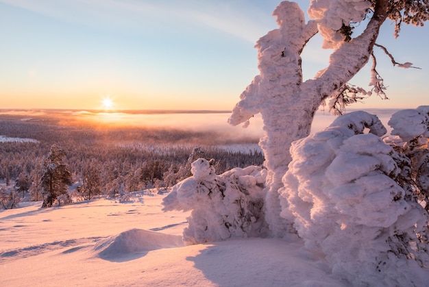 Photo scenic view of landscape against sky during winter