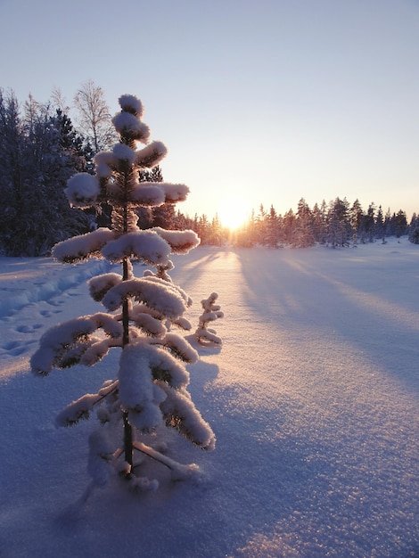 Photo snow on field against sky during sunset