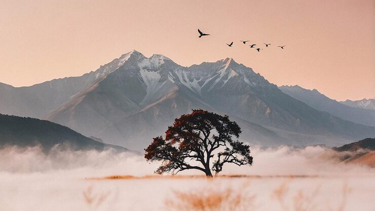 Photo tree on savanna with mountain and birds on the sky minimalist landscape illustration