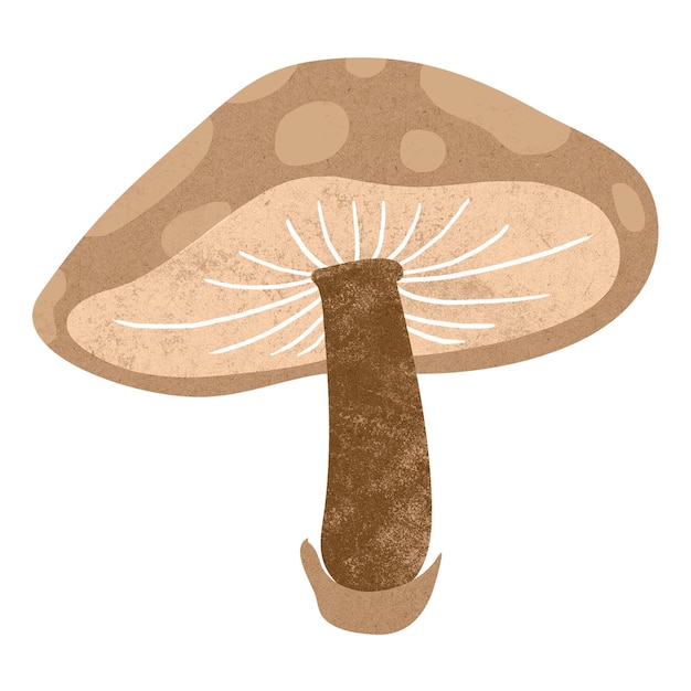 Photo vintage mushroom png clipart cottage core earth tone