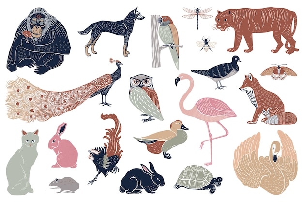 Photo vintage wild birds drawing png sticker hand drawn collection