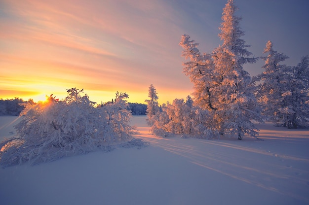 Photo winter freezing wintercolor