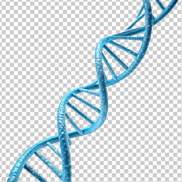 PSD 3d blue dna helix sequence element on transparent background