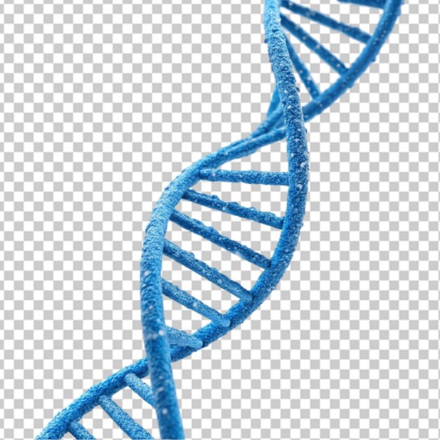 PSD 3d blue dna helix sequence element on transparent background