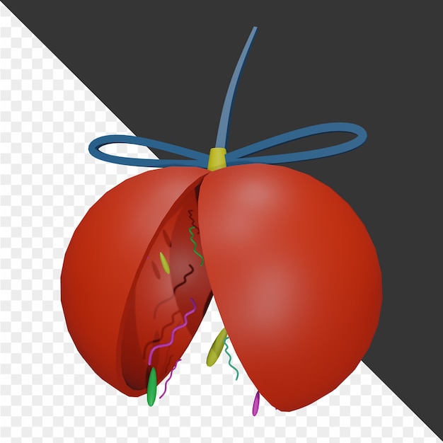 PSD 3d new year illustrations