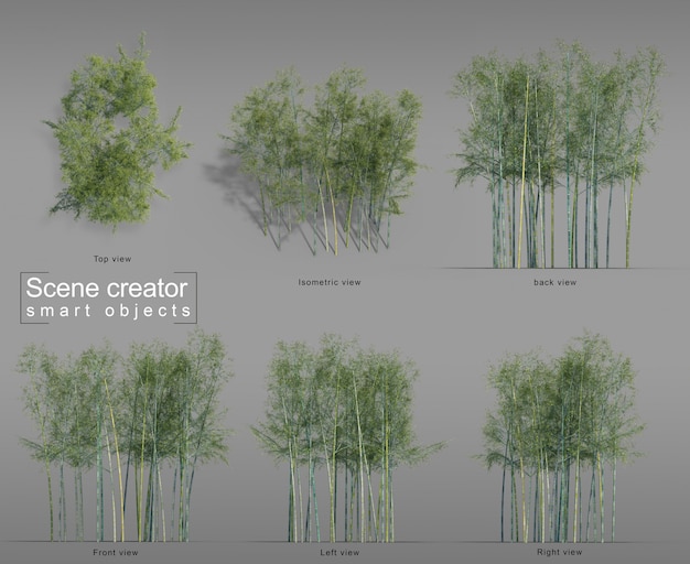 PSD 3d rendering of bamboo scene creator