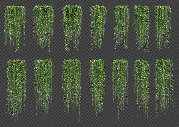 PSD 3d rendering of vernonia elliptica tree in 3d rendering