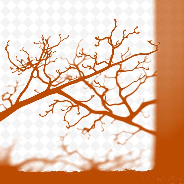 PSD acacia branch shadows thorny angular shapes create sharp contrasts jagged aggressive lin