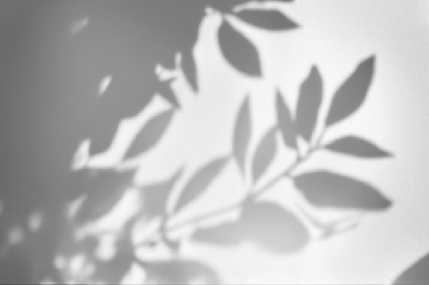 PSD aesthetic background with shadow on plain wall during golden hour psd