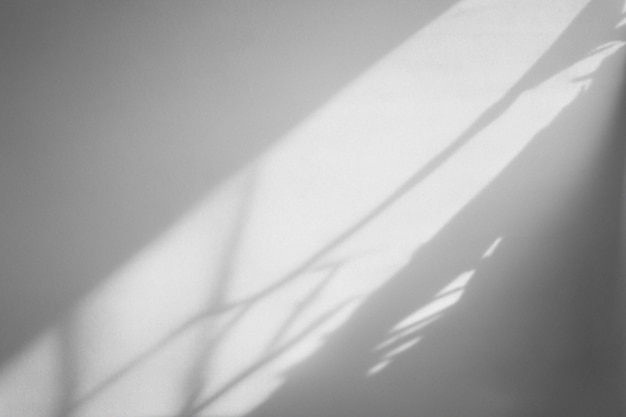 PSD aesthetic background with shadow on plain wall during golden hour psd