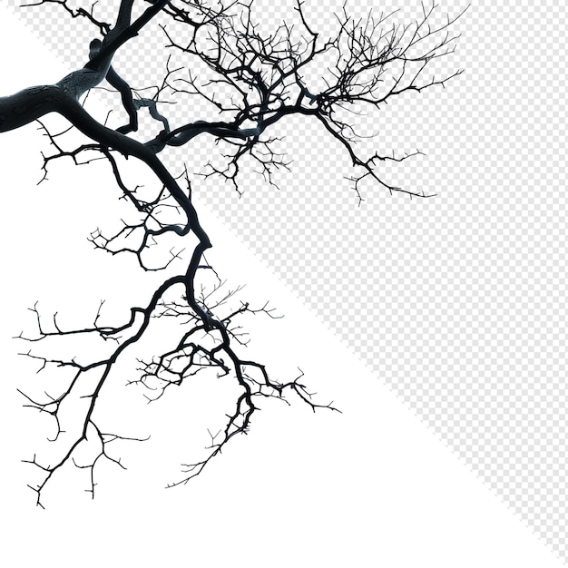 PSD bare tree branches silhouette