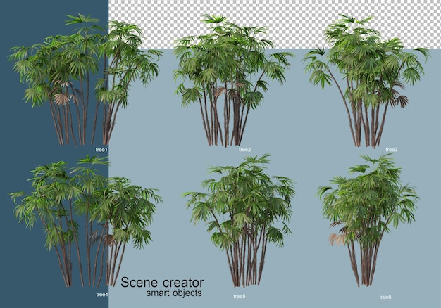 PSD beautiful 3d rendering of trees isolated