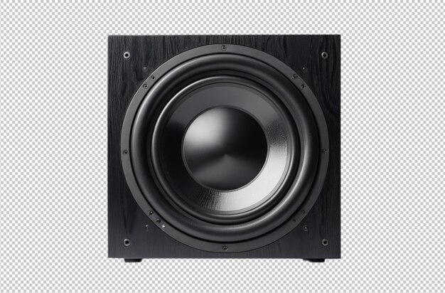 PSD black woofer speaker for powerful audio