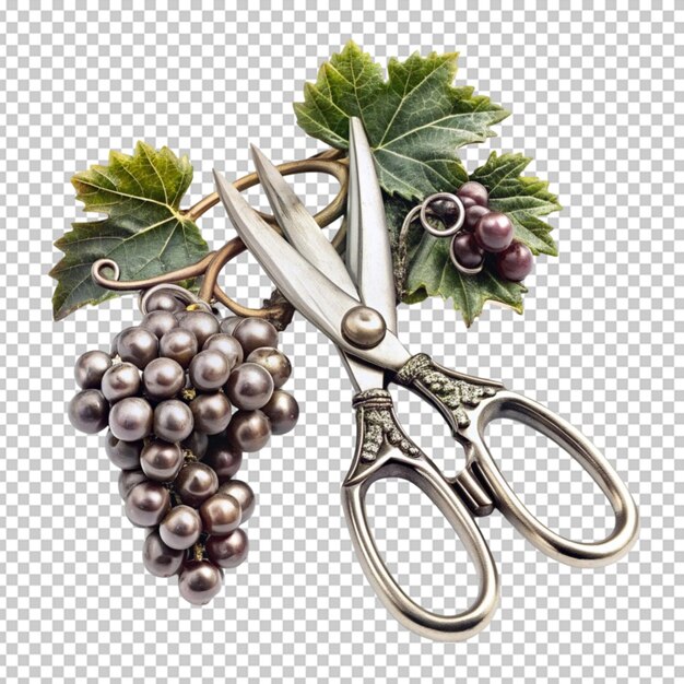 PSD cast sterling silver grape shears
