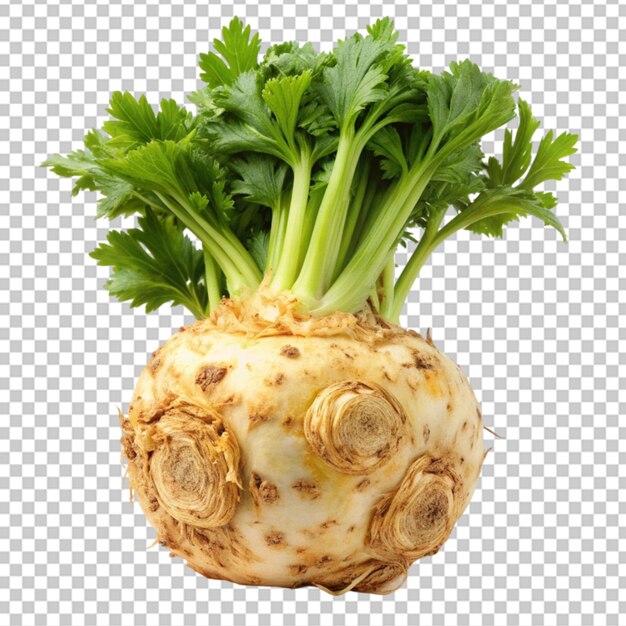PSD celeriac vegetable