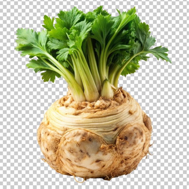 PSD celeriac vegetable