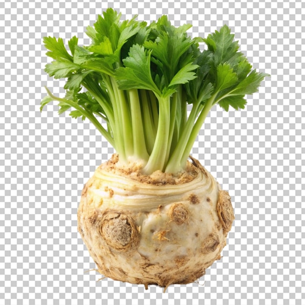 PSD celeriac vegetable