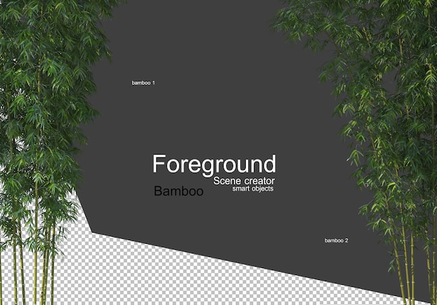 PSD close up view of beautiful bamboo trees