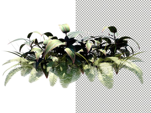 cluster of rich trees and ferns on transparent background 3d rendering