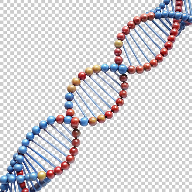 PSD concept of dna isolated on transparent background