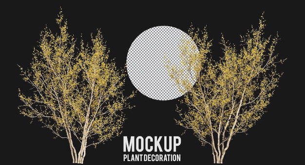 PSD cornus mas or cornelian cherry trees and branches isolated