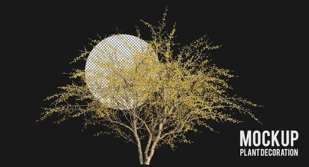 PSD cornus mas or cornelian cherry trees and branches isolated