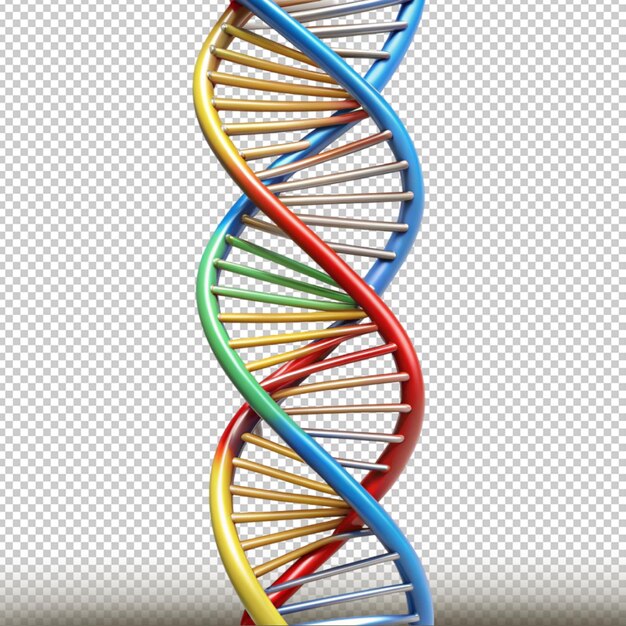 PSD dna double helix model isolated on transparent background