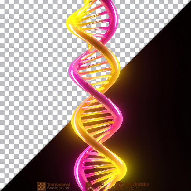 PSD dna molecule structure isolated