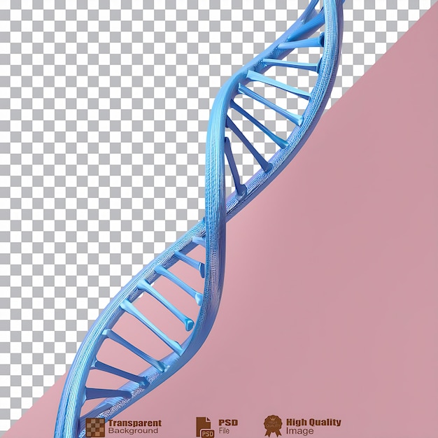 PSD double helix structure of dna isolated