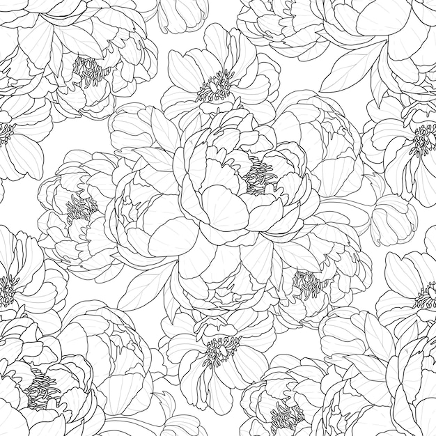 PSD elegant peony line art pattern