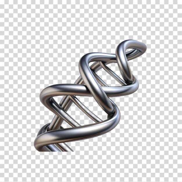 PSD exploring the double helix structure function and significance