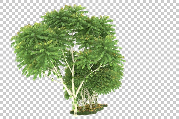 PSD forest on transparent background. 3d rendering - illustration