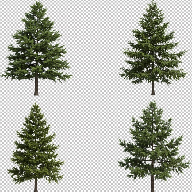 PSD four realistic fir trees