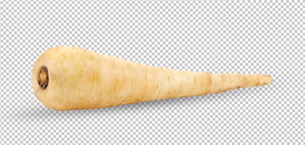 PSD fresh parsnip roots on alpha layer