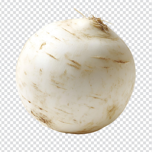 PSD fresh white radish