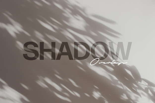 PSD gentle leaves shadow overlay effect