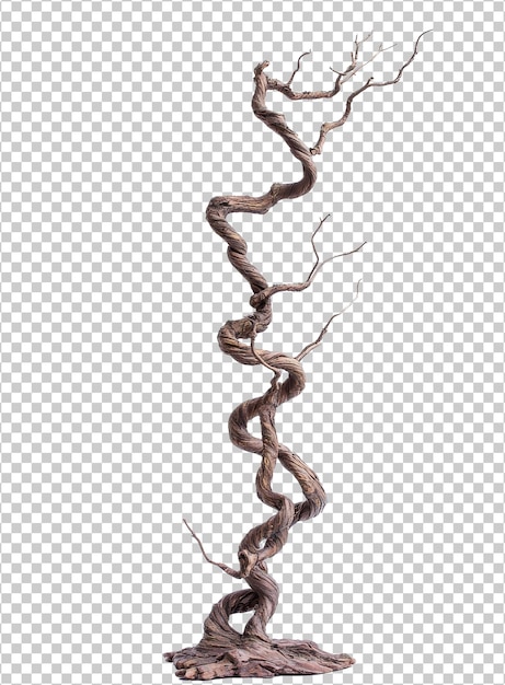 PSD gnarled tree trunk shows natures art