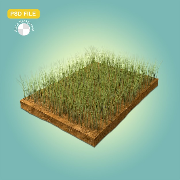 PSD grass podium 3d rendering display