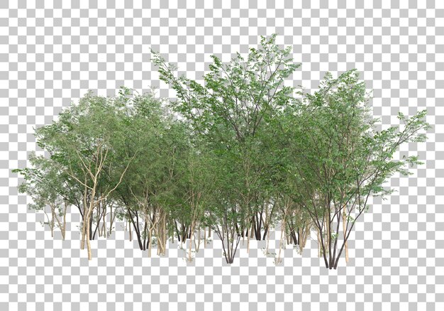 PSD green plants with transparent background 3d rendering illustration