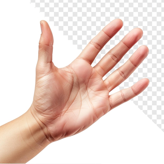 PSD isolated hand on transparent background
