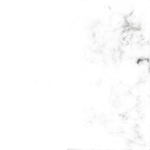 PSD jungle psd on a white background