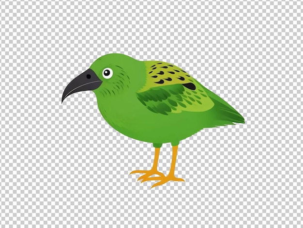 PSD kiwi bird