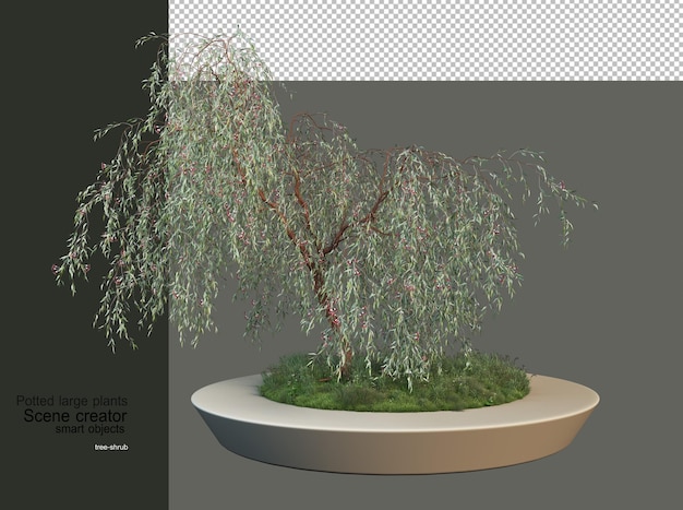 PSD large trees and plants in white pots