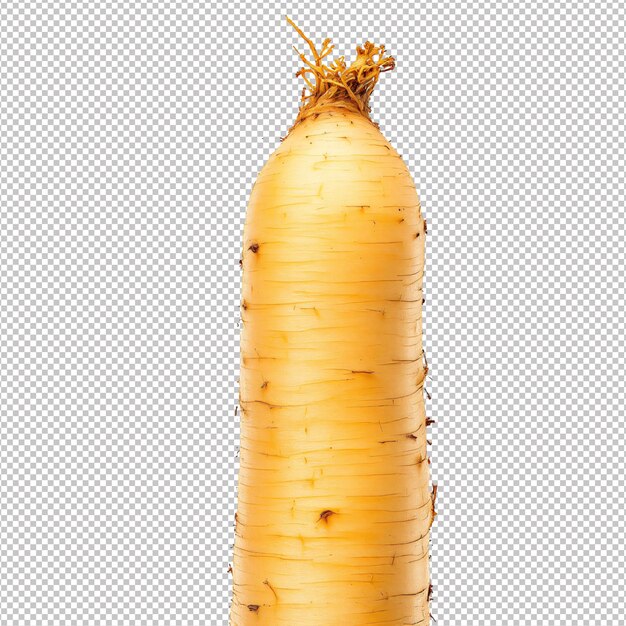 PSD long white radish