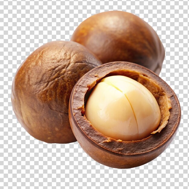 PSD macadamia nut isolated on transparent background