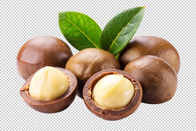 PSD macadamia nut png