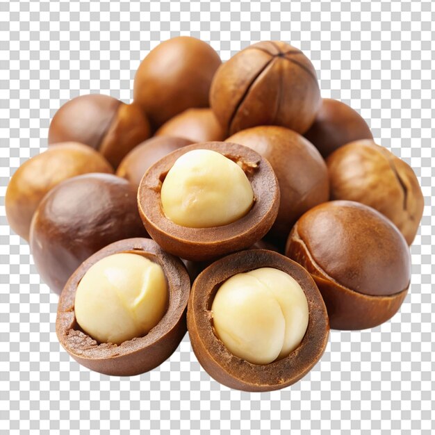 PSD macadamia nuts isolated isolated on transparent background