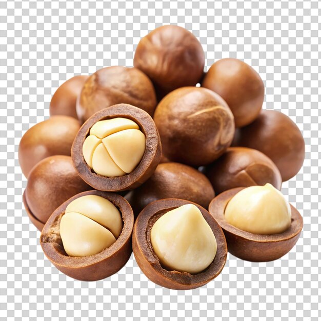 PSD macadamia nuts isolated isolated on transparent background